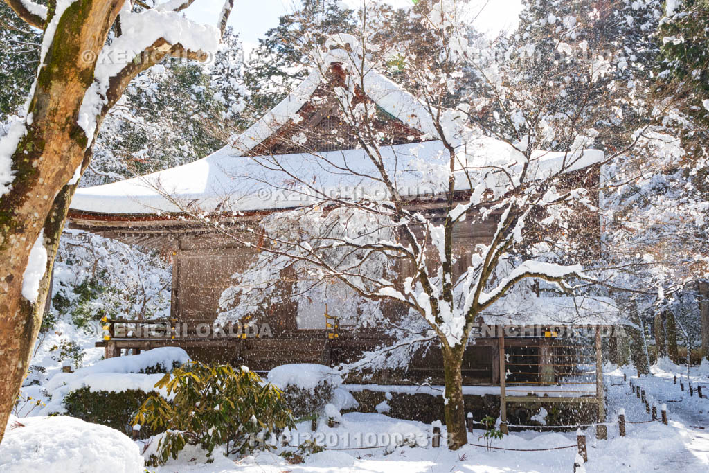 京都府　雪の三千院　往生極楽院（重要文化財）
