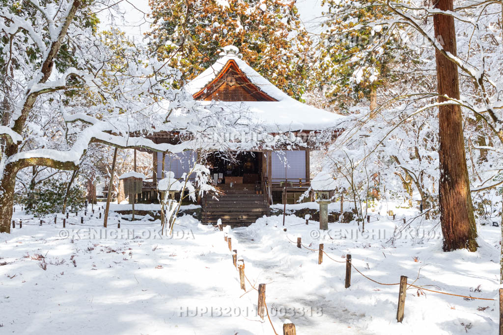 京都府　雪の三千院　往生極楽院（重要文化財）