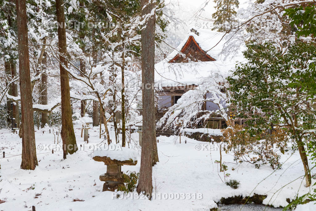 京都府　雪の三千院　往生極楽院（重要文化財）