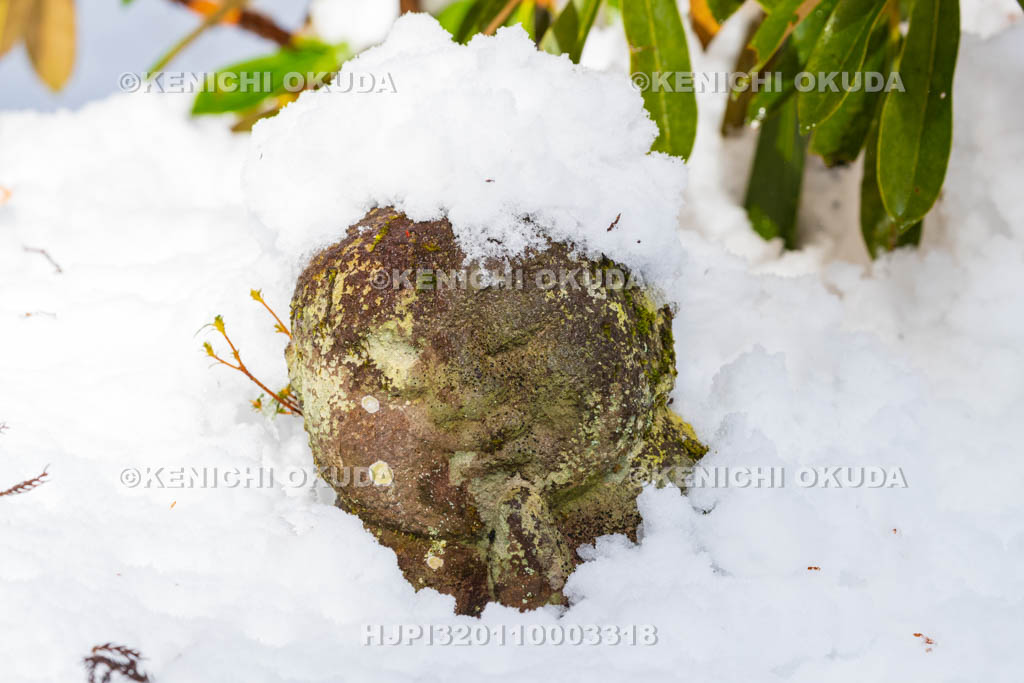 京都府　雪の三千院　わらべ地蔵