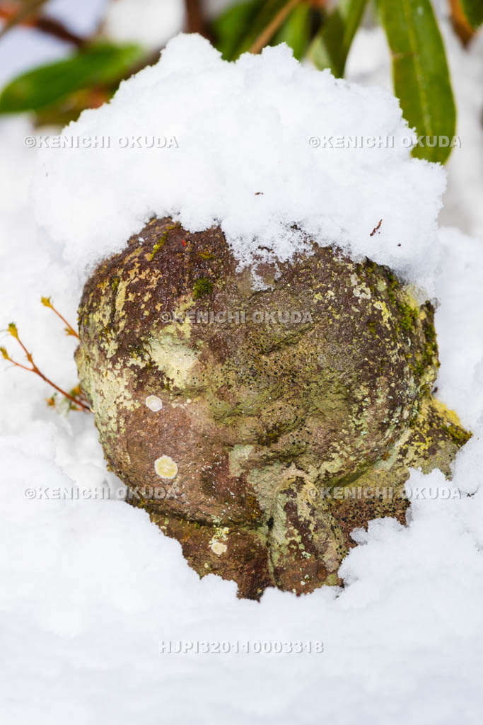 京都府　雪の三千院　わらべ地蔵