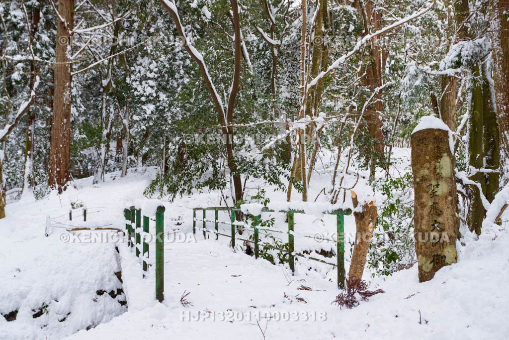 京都府　大原の里　雪の来迎院　御廟への道