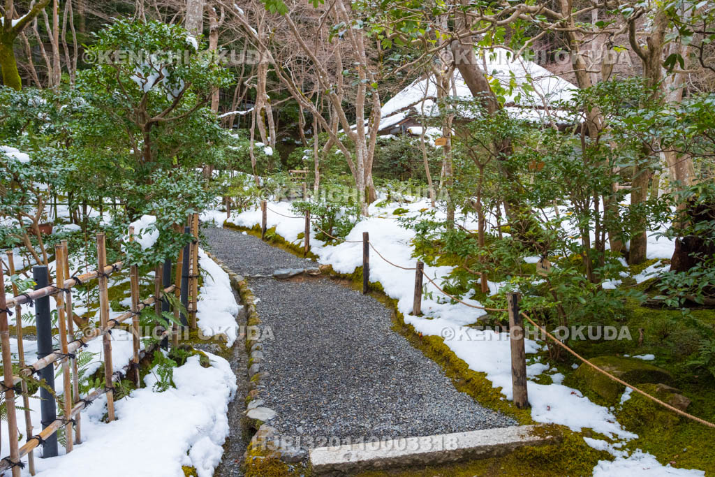 京都府　嵯峨野　祇王寺　残雪の苔庭