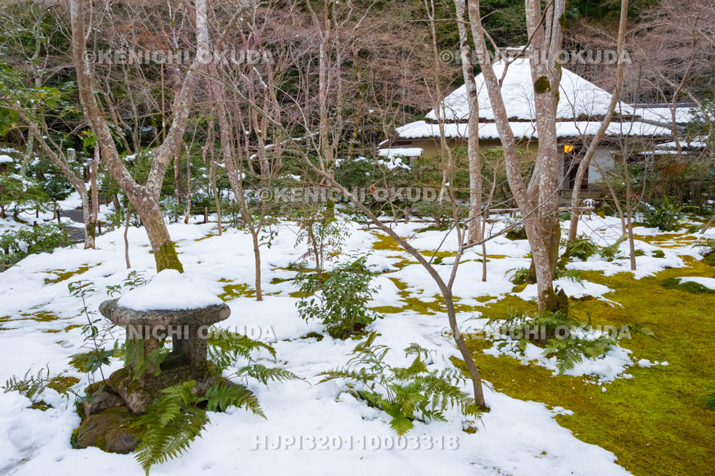 京都府　嵯峨野　祇王寺　残雪の草庵と苔庭