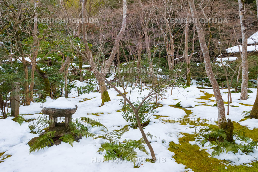 京都府　嵯峨野　祇王寺　残雪の苔庭