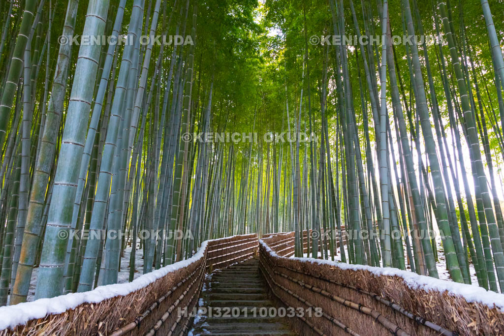 京都府　嵯峨野　化野念仏寺　残雪の竹林