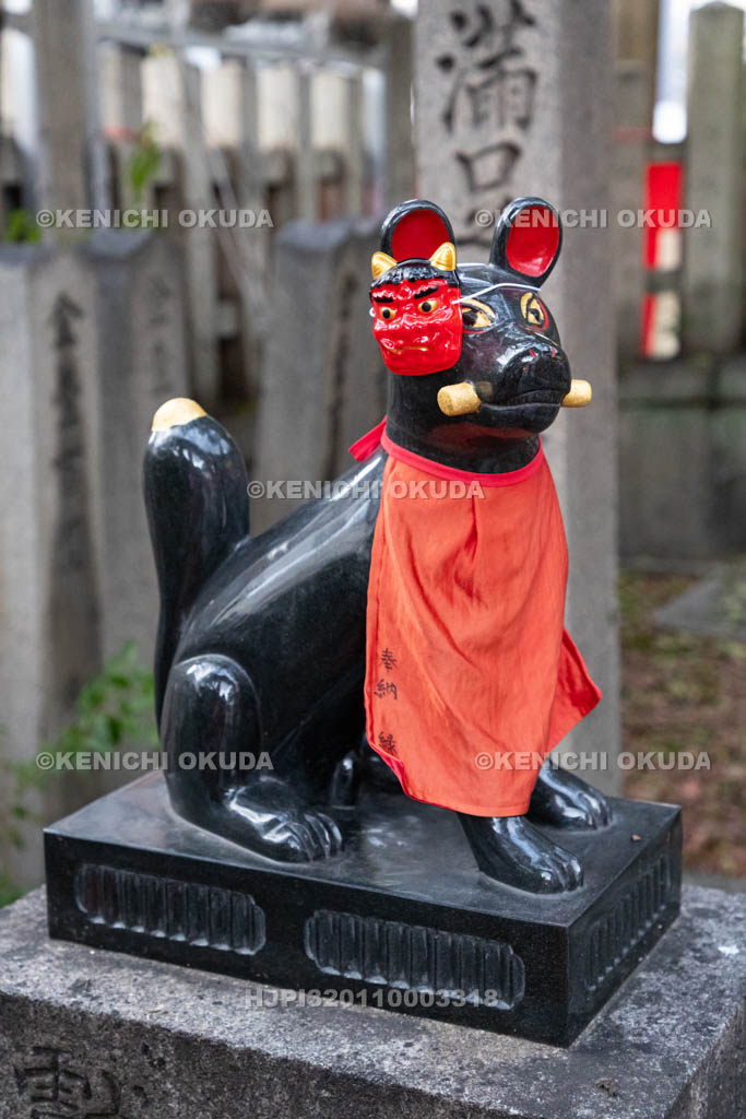 京都府　満足稲荷神社　節分祭　狛狐