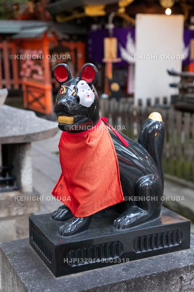 京都府　満足稲荷神社　節分祭　狛狐