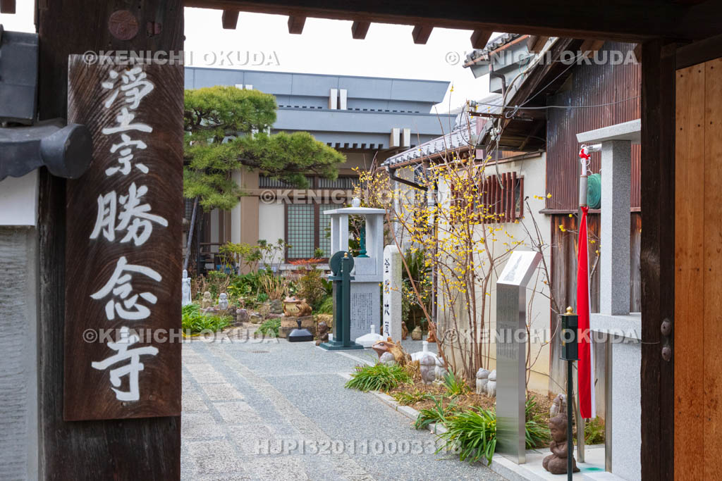 京都府　ロウバイ咲く勝念寺（かましきさん）
