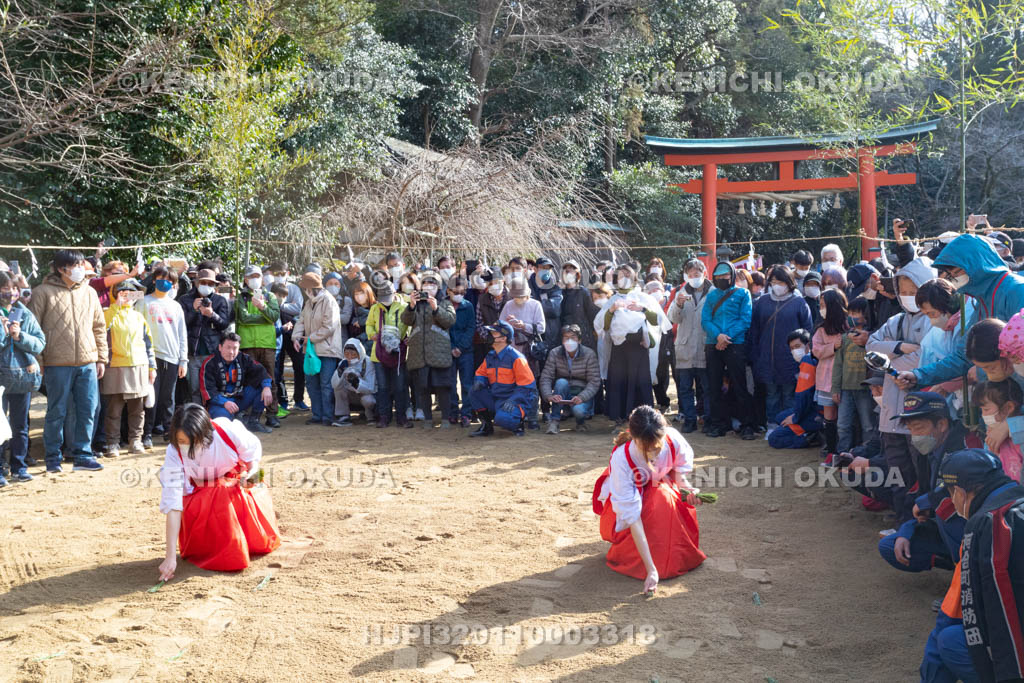 奈良県　廣瀬大社　砂かけ祭（お田植祭）　庭上の儀　早乙女の田植え