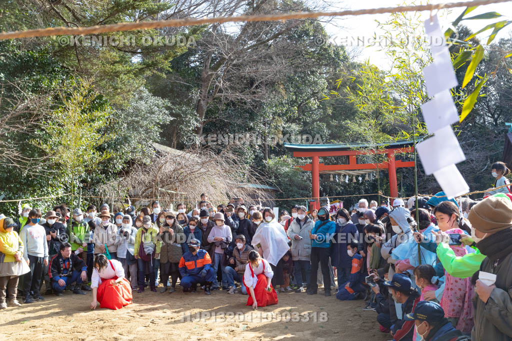 奈良県　廣瀬大社　砂かけ祭（お田植祭）　庭上の儀　早乙女の田植え