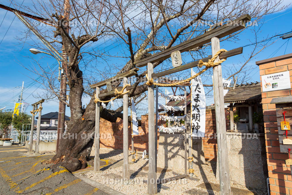 和歌山県　和歌山電鐵　貴志駅　いちご神社・たま神社・おもちゃ神社