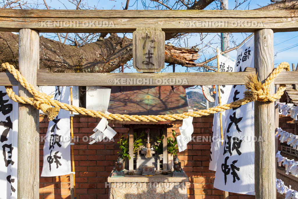 和歌山県　和歌山電鐵　貴志駅　たま神社