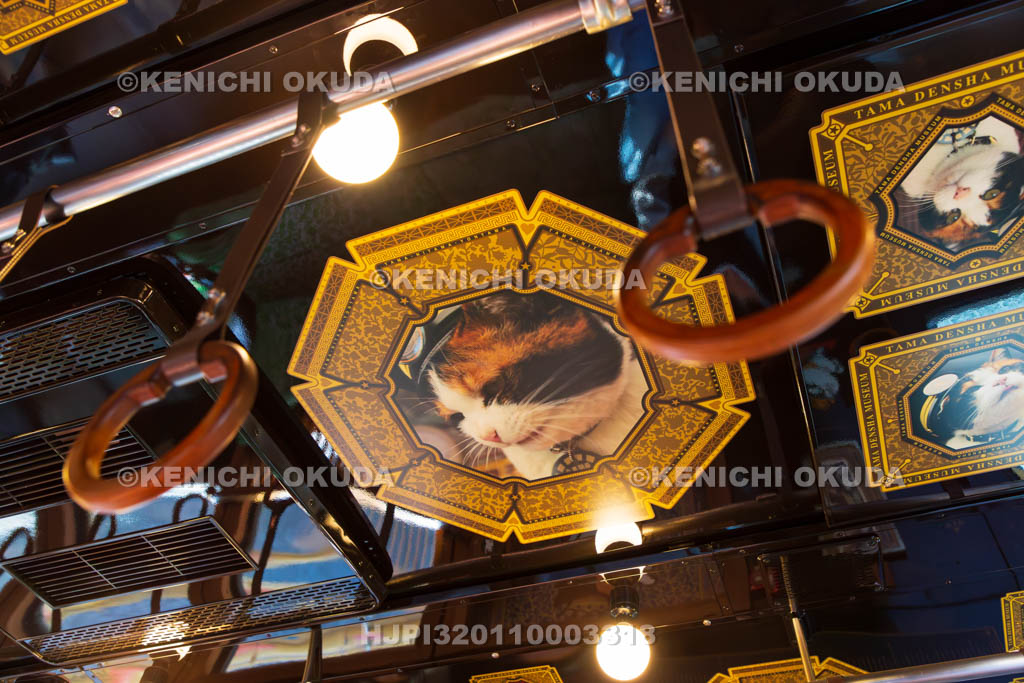 和歌山県　和歌山電鐵　たま電車ミュージアム号　天井のたまII世駅長の肖像