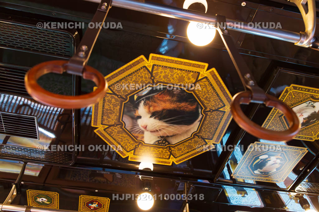 和歌山県　和歌山電鐵　たま電車ミュージアム号　天井のたまII世駅長の肖像