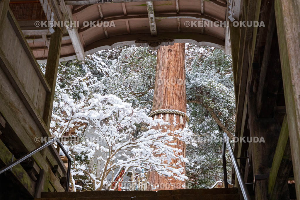 京都府　雪の鞍馬寺　由岐神社　荷拝殿（重要文化財）から望む大杉