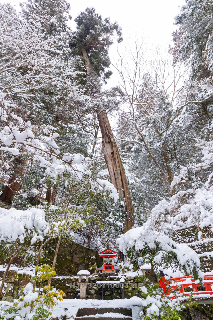 京都府　雪の鞍馬寺　双福苑