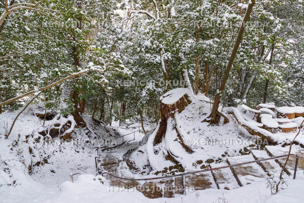 京都府　雪の鞍馬寺　奥の院参道　木の根道付近