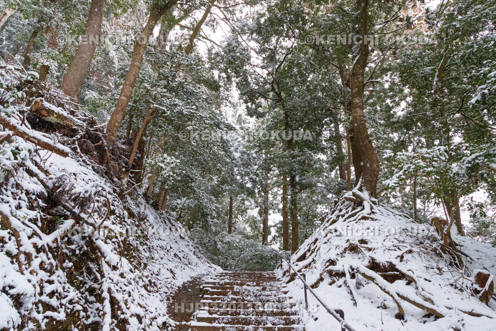 京都府　雪の鞍馬寺　奥の院参道　木の根道付近