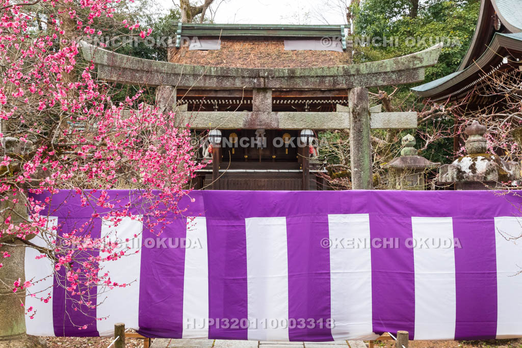 京都府　北野天満宮　紅梅と稲荷神社