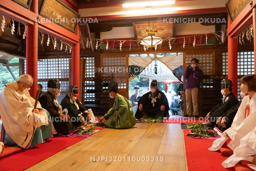 京都府　涌出宮（わきでのみや）　居籠祭　御田植神事　給仕が榊の枝を配る