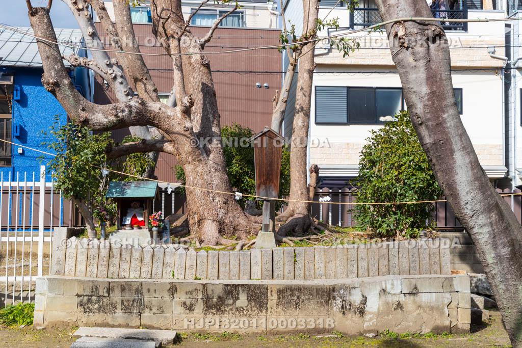 大阪府　野里住吉神社　乙女塚（瀧の池跡）