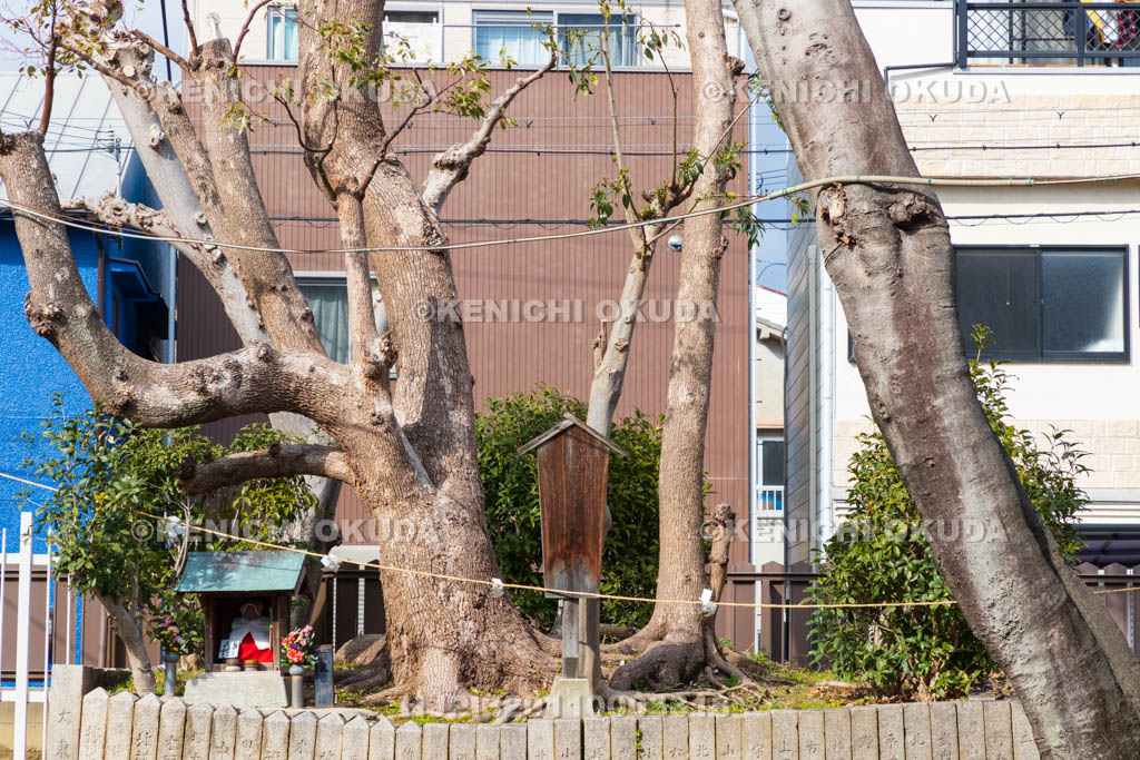 大阪府　野里住吉神社　乙女塚（瀧の池跡）