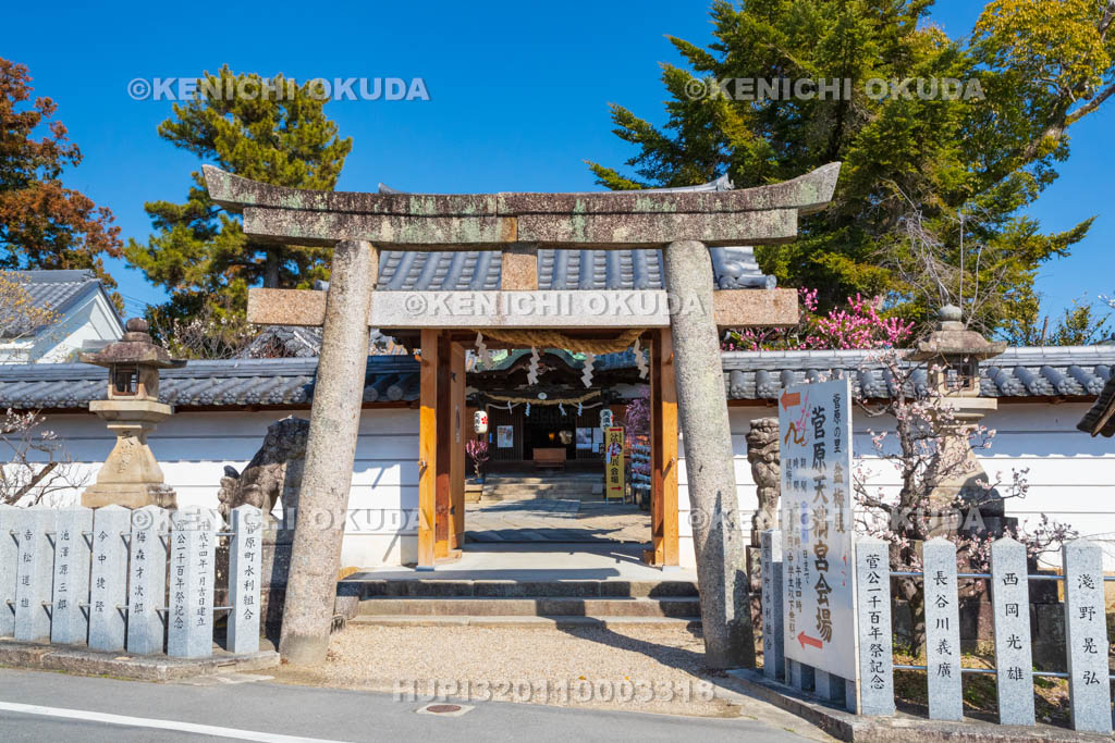 奈良県　菅原天満宮　梅と表門