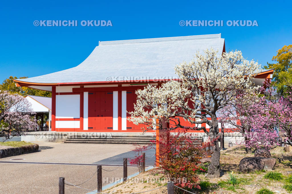 奈良県　薬師寺　白鳳伽藍　梅と聚寶館