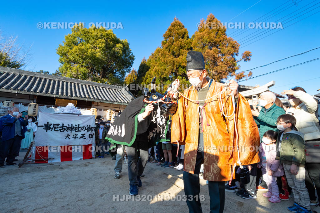 奈良県　調田坐一事尼古神社　おんだ祭　牛使い