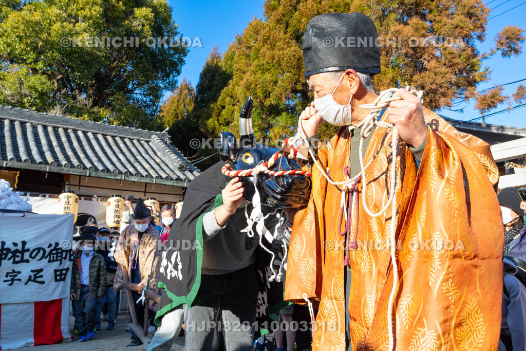 奈良県　調田坐一事尼古神社　おんだ祭　牛使い