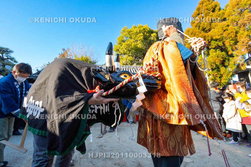 奈良県　調田坐一事尼古神社　おんだ祭　牛使い