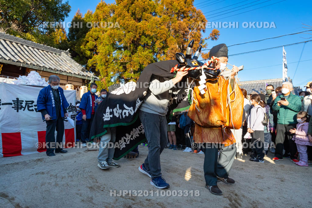 奈良県　調田坐一事尼古神社　おんだ祭　牛使い