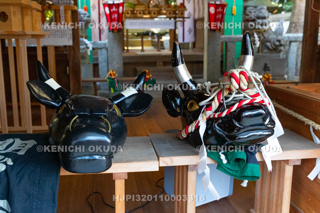 奈良県　調田坐一事尼古神社　おんだ祭　牛面