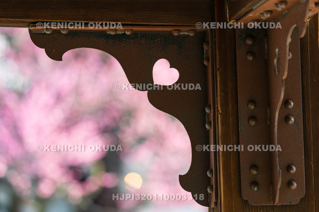 京都府　興正寺　手水舎　梅と飾り金具の猪目（ハート）