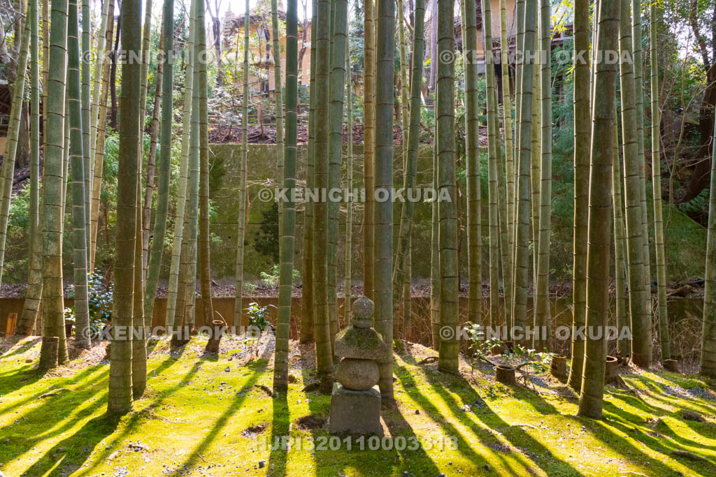 京都府　圓光寺　応挙竹林