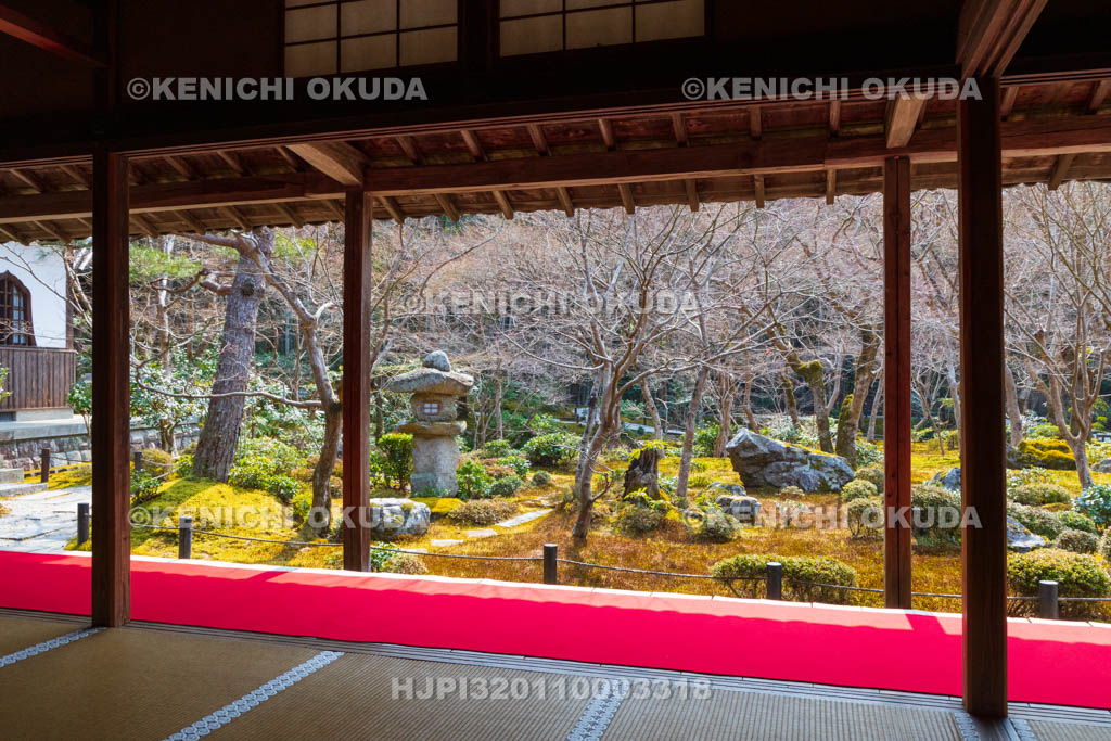 京都府　圓光寺　本堂から望む十牛之庭