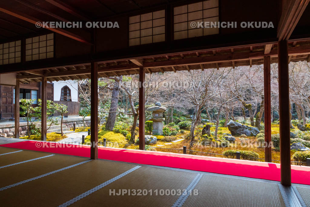 京都府　圓光寺　本堂から望む十牛之庭