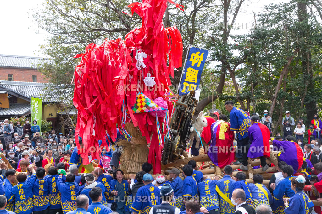 滋賀県　日牟禮八幡宮　左義長祭　左義長同士のぶつけ合い（ケンカ）
