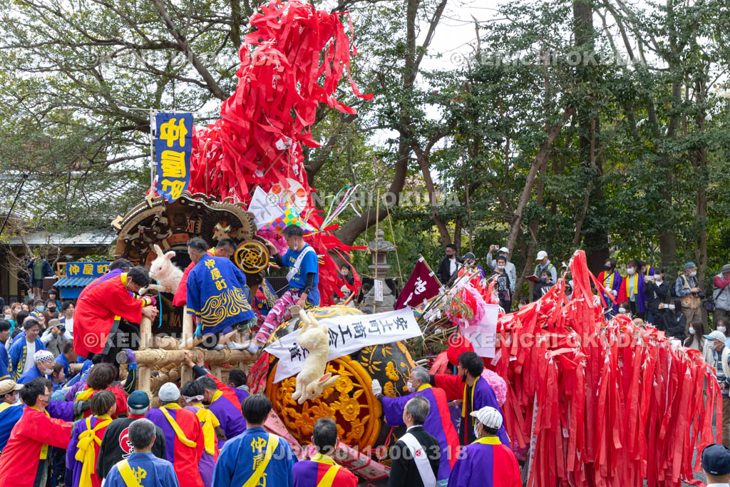 滋賀県　日牟禮八幡宮　左義長祭　左義長同士のぶつけ合い（ケンカ）