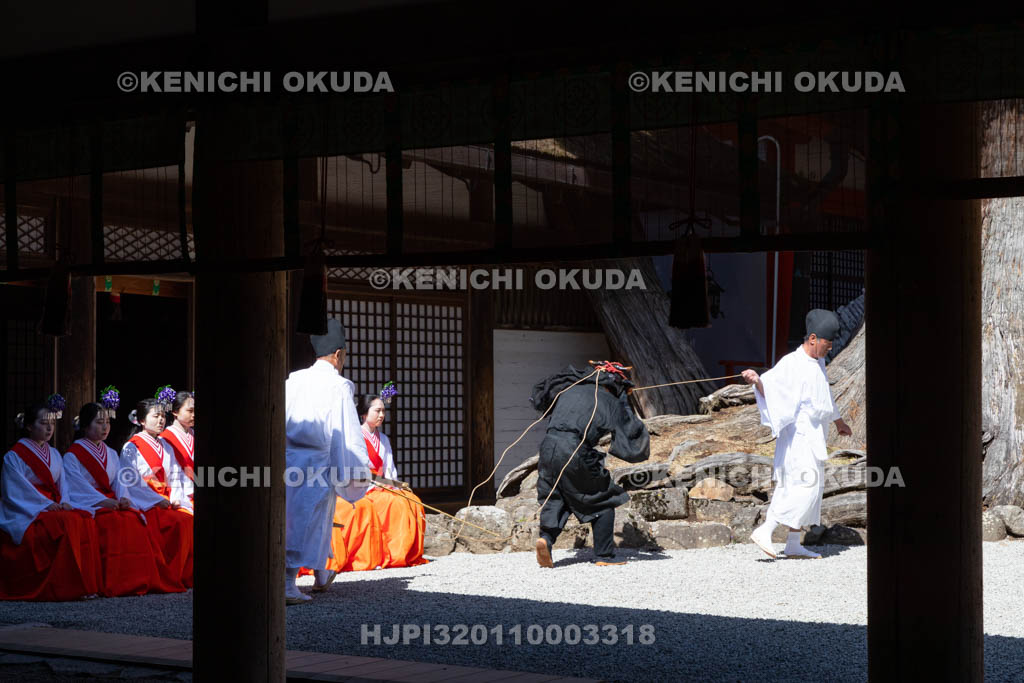 奈良県　春日大社　林檎の庭　御田植神事