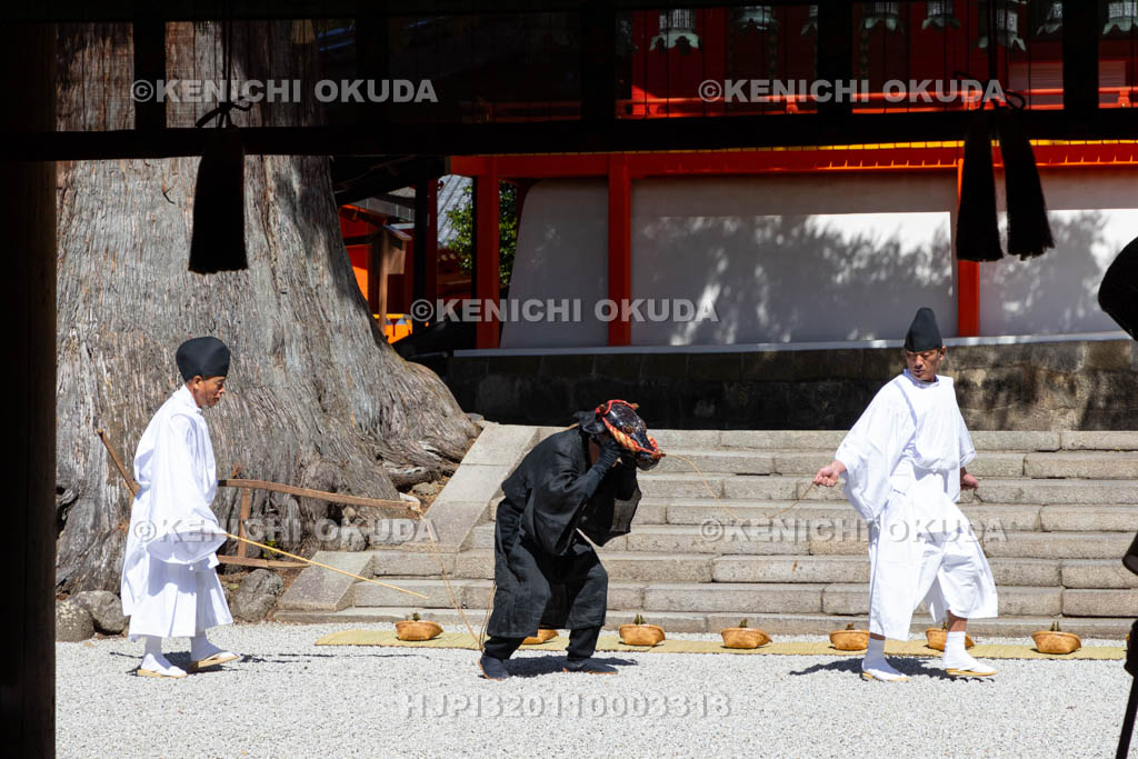 奈良県　春日大社　林檎の庭　御田植神事