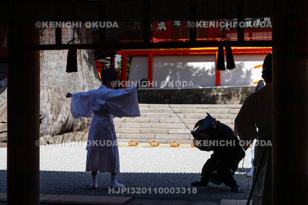 奈良県　春日大社　林檎の庭　御田植神事