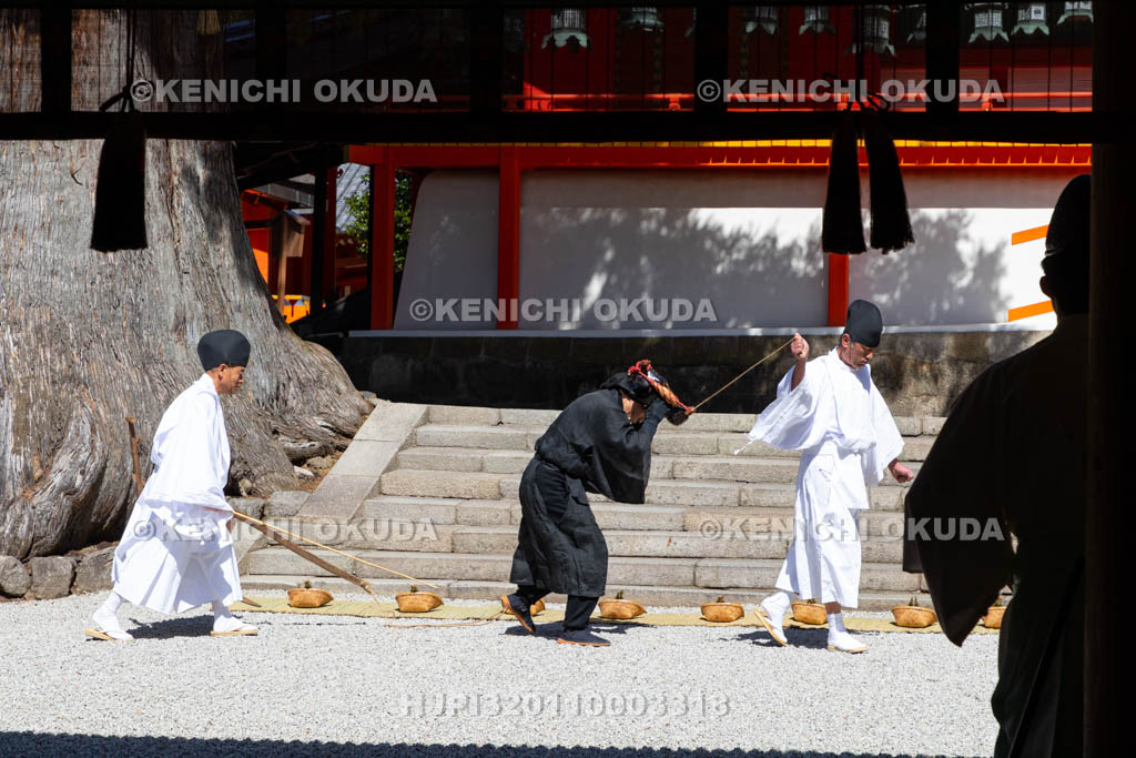 奈良県　春日大社　林檎の庭　御田植神事