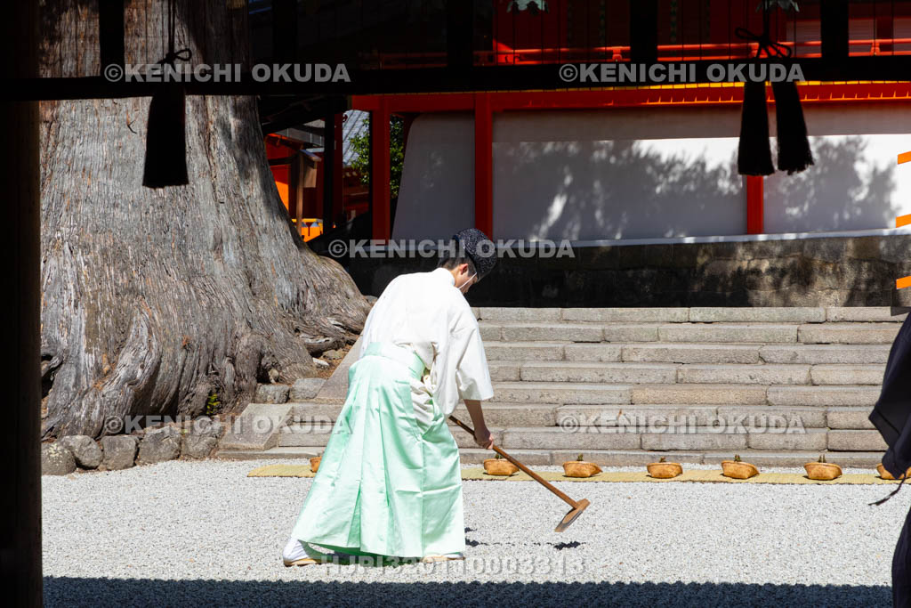 奈良県　春日大社　林檎の庭　御田植神事