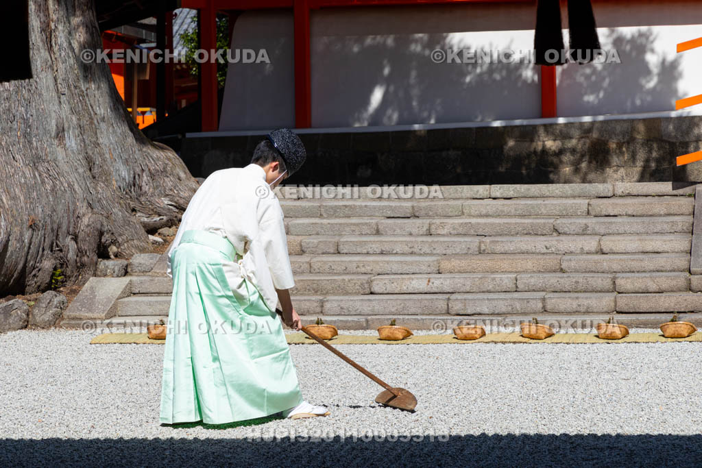 奈良県　春日大社　林檎の庭　御田植神事