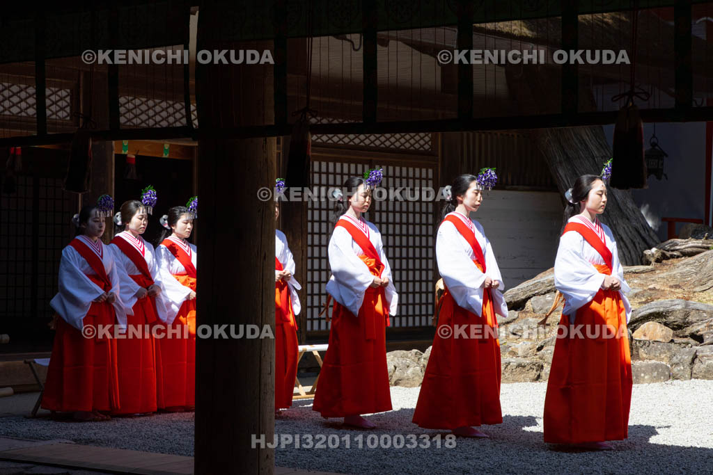 奈良県　春日大社　林檎の庭　御田植神事