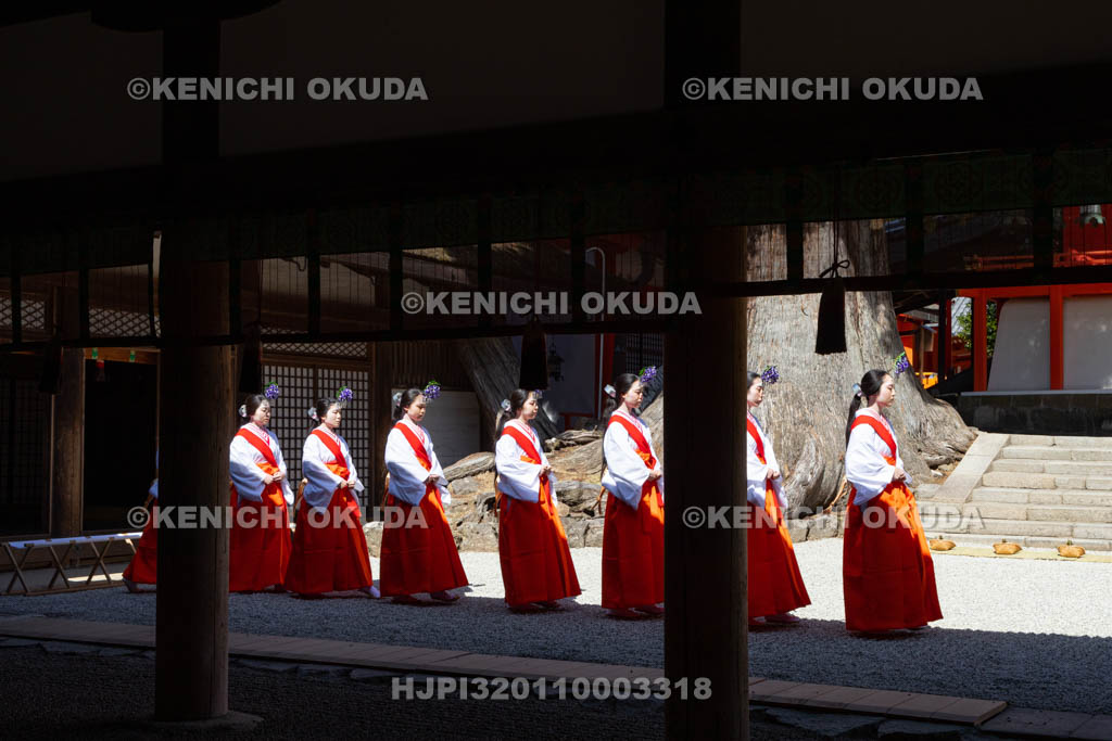 奈良県　春日大社　林檎の庭　御田植神事