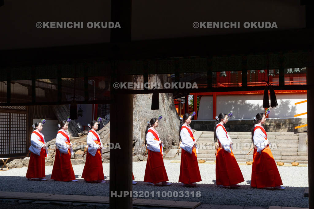 奈良県　春日大社　林檎の庭　御田植神事
