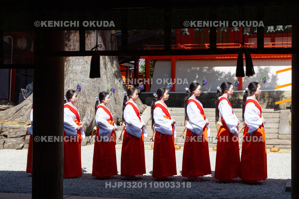 奈良県　春日大社　林檎の庭　御田植神事